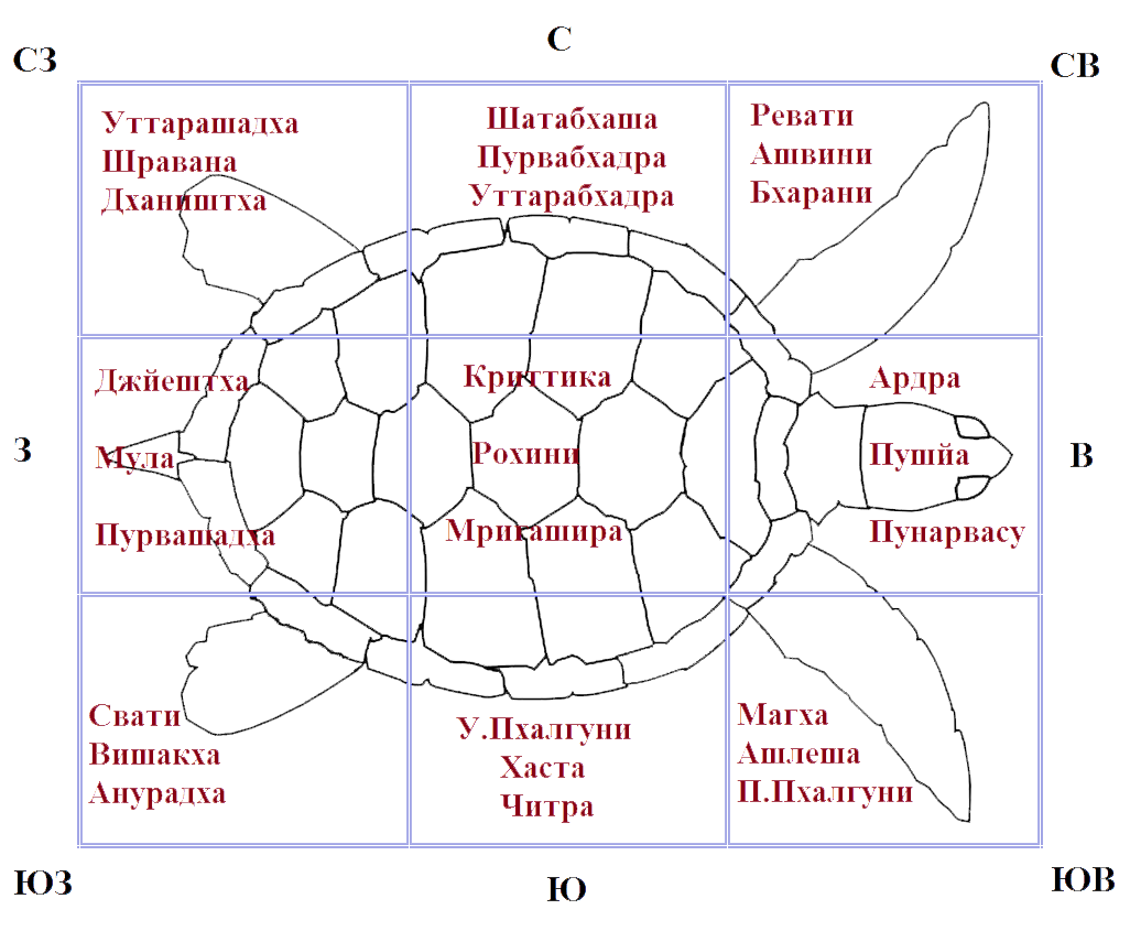 Карта d3 джйотиш